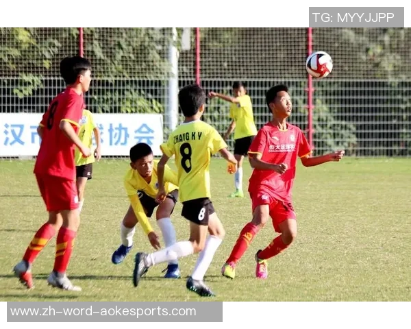 足球猪协携手推动足球文化发展助力青少年成长与健康生活