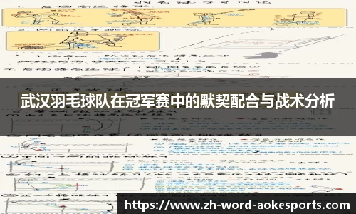 武汉羽毛球队在冠军赛中的默契配合与战术分析
