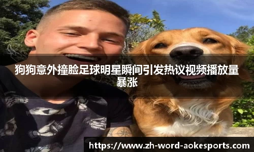狗狗意外撞脸足球明星瞬间引发热议视频播放量暴涨