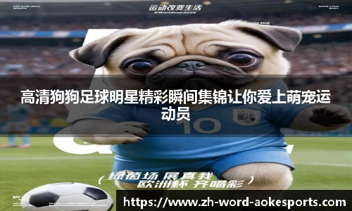高清狗狗足球明星精彩瞬间集锦让你爱上萌宠运动员